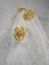 DELTA Roe Monitor 14 Series Shower Only — Brushed Gold