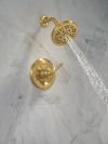 DELTA Roe Monitor 14 Series Shower Only — Brushed Gold