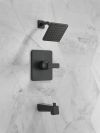 DELTA Velum Monitor 14 Series Tub & Shower — Matte Black