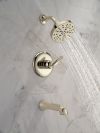 DELTA Bonacci 14 Series Tub Shower Trim — Lumicoat® Polished Nickel
