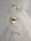DELTA Bonacci 14 Series Tub Shower Trim — Lumicoat® Polished Nickel