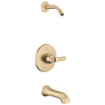 Champagne Bronze