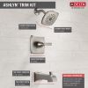 DELTA Ashlyn Monitor 14 Series Tub & Shower Trim — Stainless