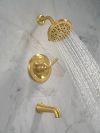 DELTA Roe Monitor 14 Series Tub and Shower — Brushed Gold