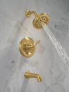 DELTA Roe Monitor 14 Series Tub and Shower — Brushed Gold