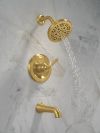 DELTA Roe Monitor 14 Series Tub and Shower — Brushed Gold