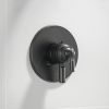 DELTA Saylor Monitor 17 Series Valve Trim Only — Matte Black