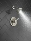 DELTA Lahara Monitor 17 Series Shower Trim — Stainless