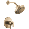 Champagne Bronze