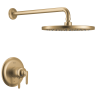 Lumicoat® Champagne Bronze