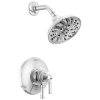 DELTA Broderick 17 Series Shower Trim — Lumicoat® Chrome