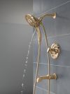 DELTA Tetra 17 Series Tub Shower Trim — Lumicoat® Champagne Bronze