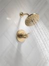 DELTA Trinsic TempAssure 17T Series H2OKINETIC Shower Trim — Champagne Bronze
