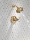 DELTA Broderick 17T Series Shower Trim — Lumicoat® Champagne Bronze