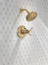 DELTA Broderick 17T Series Shower Trim — Lumicoat® Champagne Bronze