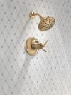 DELTA Broderick 17T Series Shower Trim — Lumicoat® Champagne Bronze