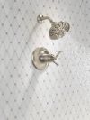 DELTA Broderick 17T Series Shower Trim — Lumicoat® Stainless