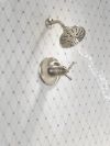 DELTA Broderick 17T Series Shower Trim — Lumicoat® Stainless