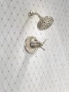 DELTA Broderick 17T Series Shower Trim — Lumicoat® Stainless