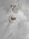 DELTA Tetra 17T Series Shower Trim — Lumicoat® Stainless