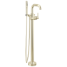Polished Nickel