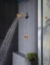 BRIZO Litze TempAssure Thermostatic Shower Only - Less Handles — Luxe Gold