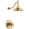 Polished Gold