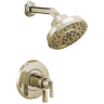 Polished Nickel