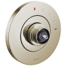 Polished Nickel