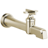 Polished Nickel