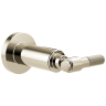 Polished Nickel