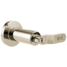 Polished Nickel