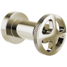 Polished Nickel
