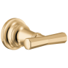 Polished Gold