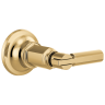 Polished Gold