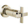 Polished Nickel