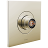 Polished Nickel