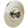 Polished Nickel