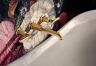 Polished Gold