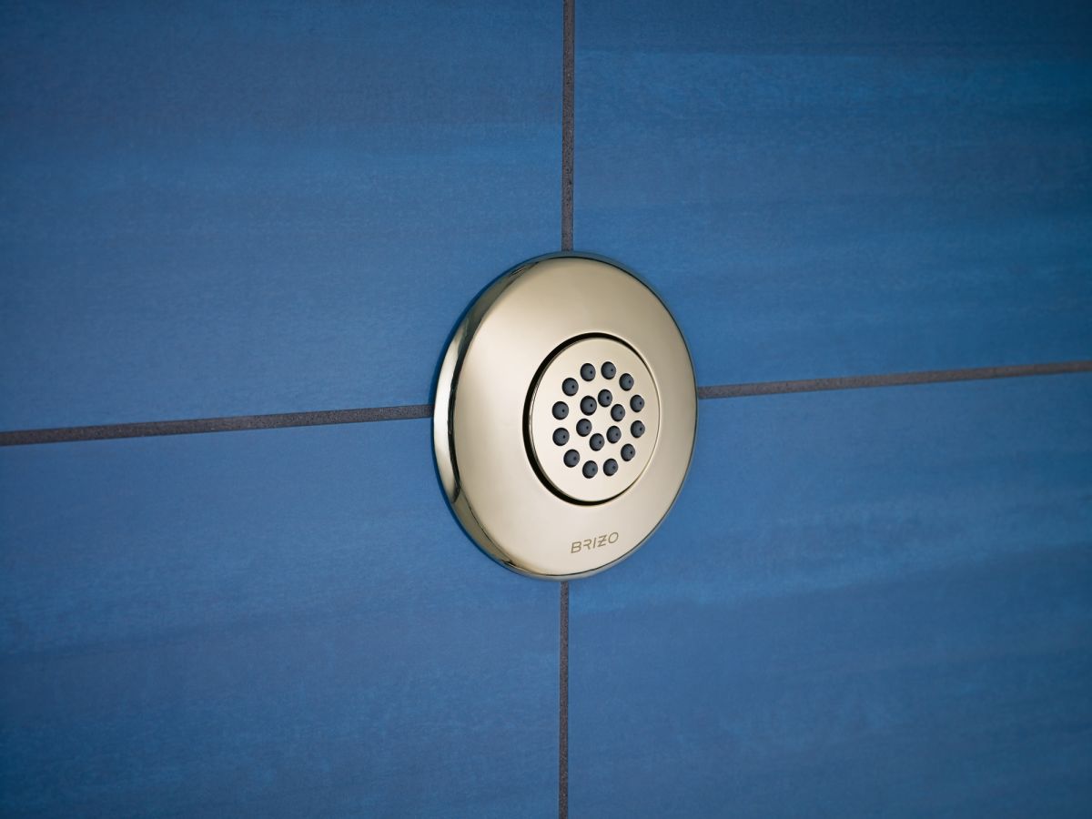 BRIZO Other Hydrachoice Touch-Clean Spray Head — Polished Nickel