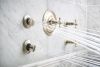 BRIZO Essential Shower Hydrachoice Max Round Body Spray Trim — Polished Nickel