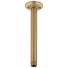 Champagne Bronze